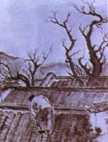 c25.jpg (14404 bytes)